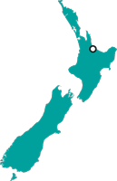 Location of our Tauranga office