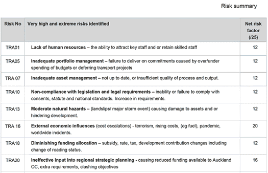 risk summary