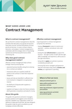 What good looks like: Risk management — Audit New Zealand