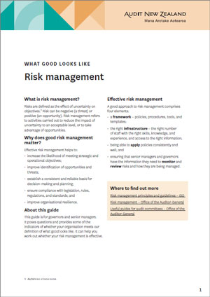 What good looks like: Risk management — Audit New Zealand